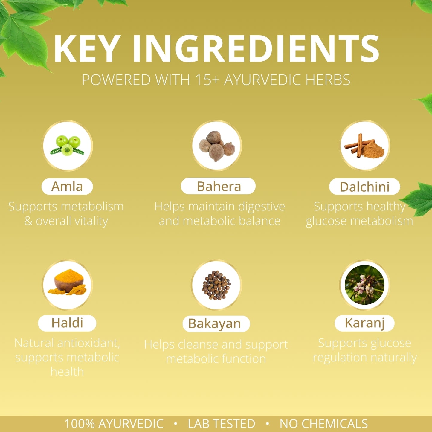 Go Diaba: Ayurvedic Medicine to Control Diabetes & Blood Sugar Levels (Ministry of Ayush Approved)