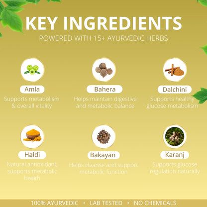 Go Diaba: Ayurvedic Medicine to Control Diabetes & Blood Sugar Levels (Ministry of Ayush Approved)