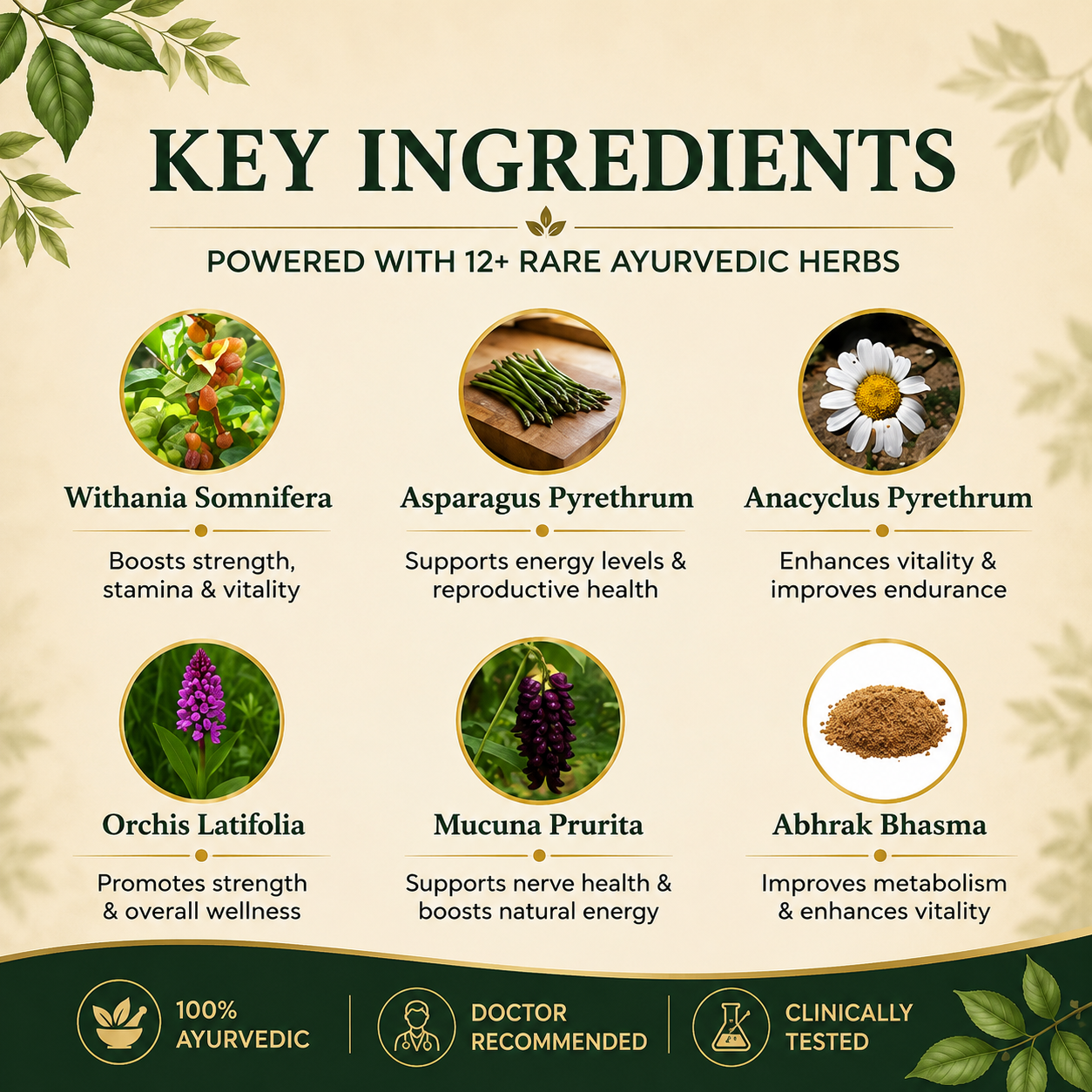 Rocket Capsules: Ayurvedic Medicine for Strength, Stamina, Timing & Performance in Men (Ministry of Ayush Approved)