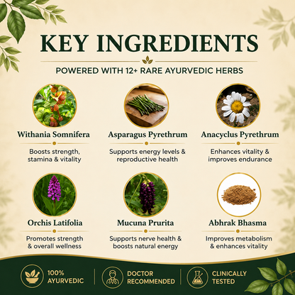 Rocket Capsules: Ayurvedic Medicine for Strength, Stamina, Timing & Performance in Men (Ministry of Ayush Approved)